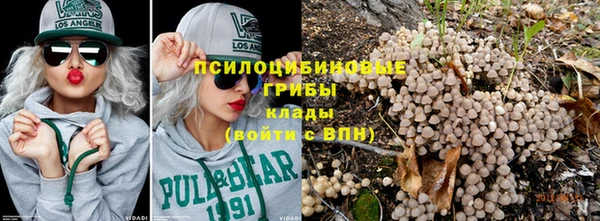 гашик Иннополис
