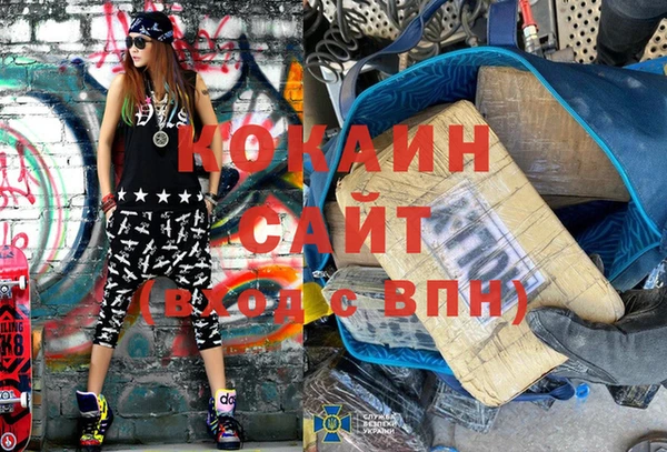 шишки Краснослободск